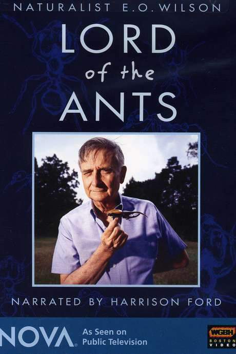 Lord of the Ants